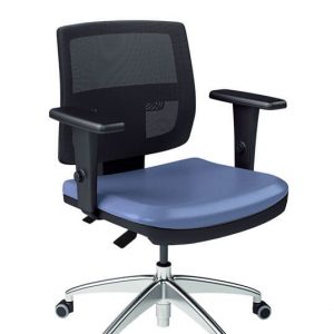 1/05 - TELA EXECUTIVA BACK PLUS