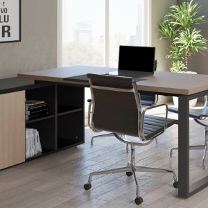 2/511 – MESA BELLA VERCELLI